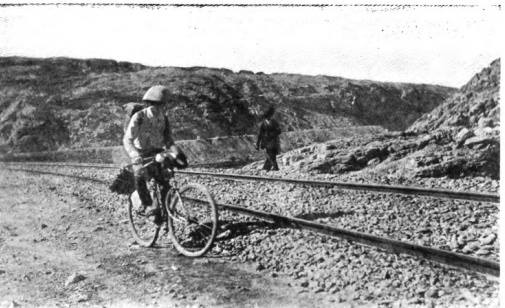 14184458_1774092179532821_3706682762780495704_n