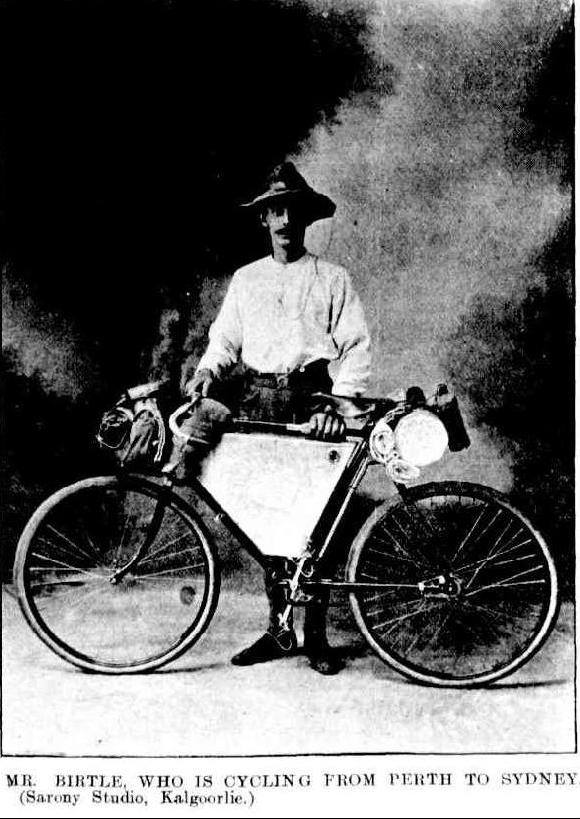 16830897_1151145161675094_4574489062638629364_n