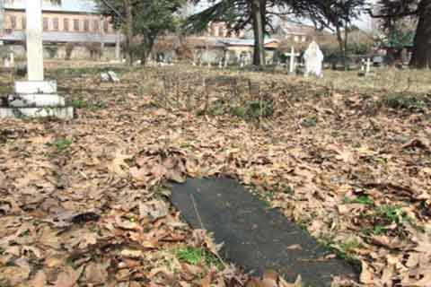 2016_11largeimg217_nov_2016_220807720